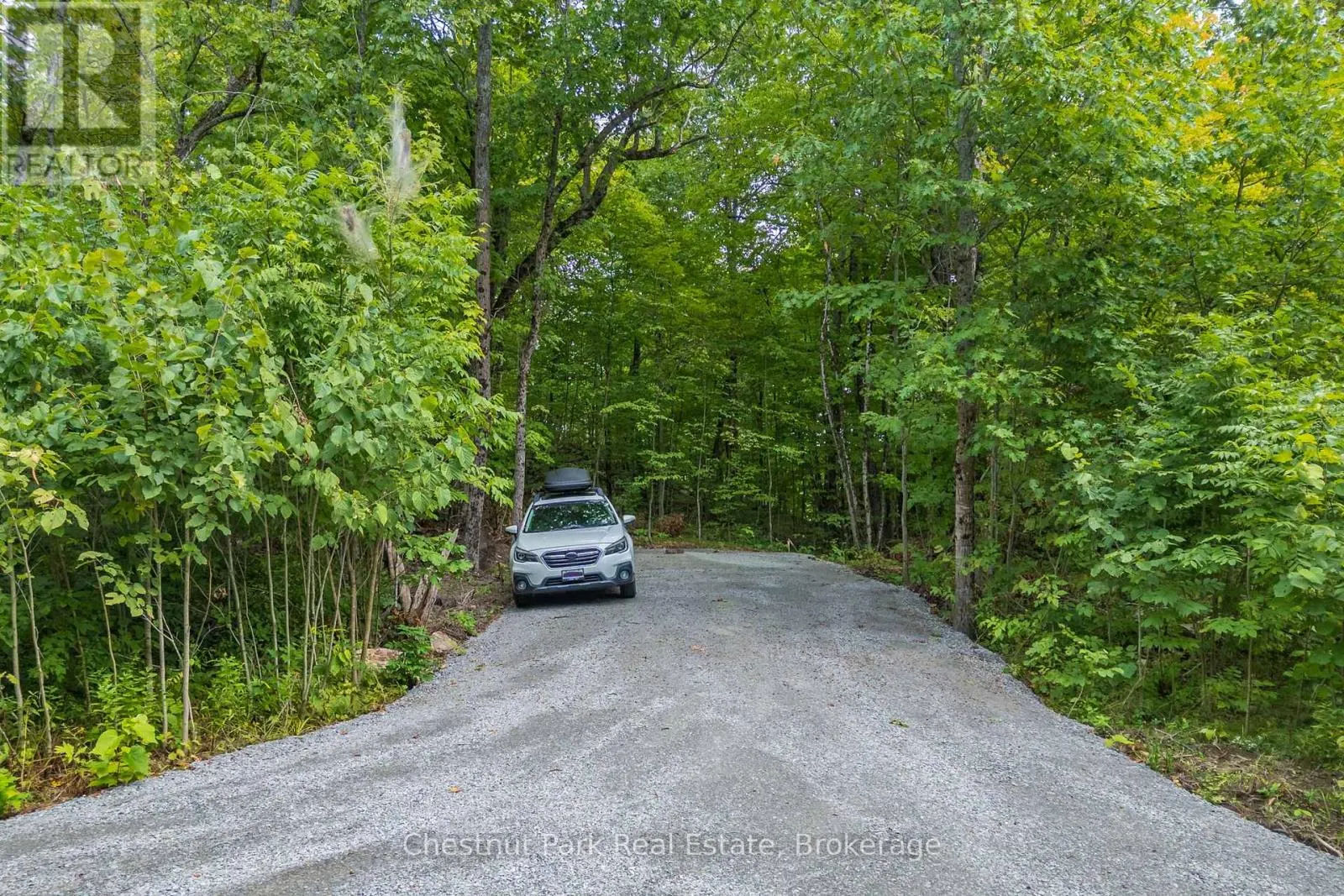 517 MOHAWK ROAD
