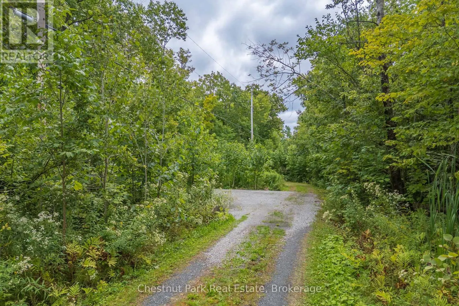 517 MOHAWK ROAD