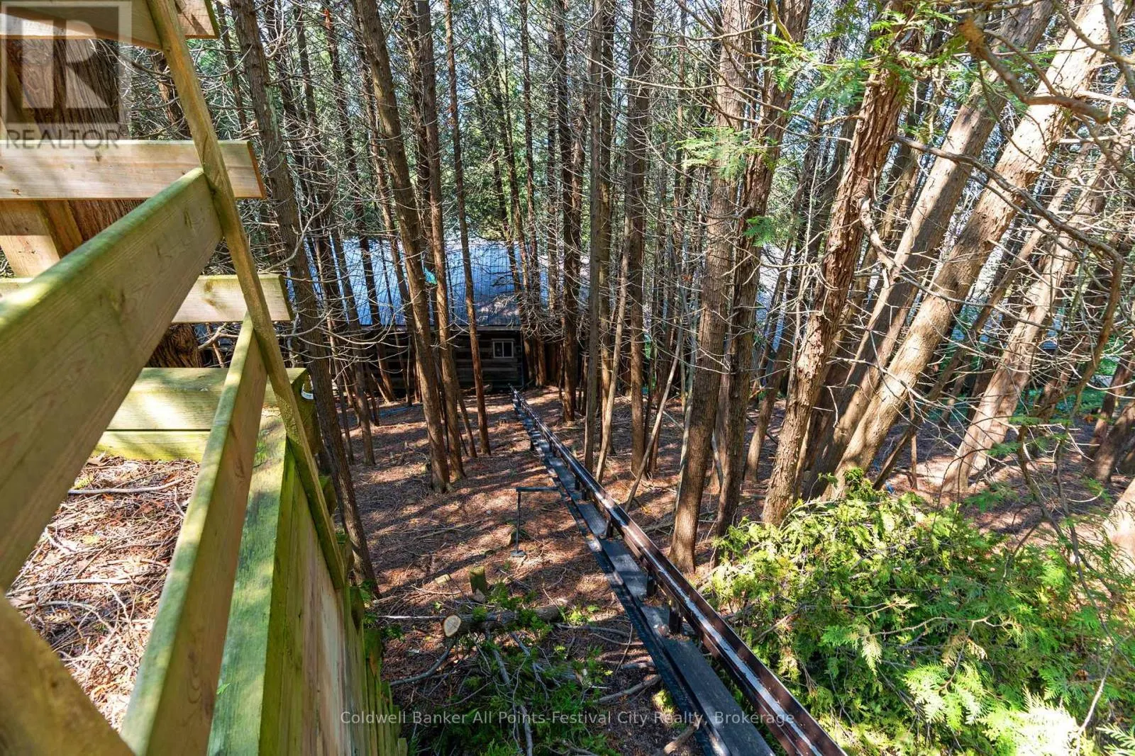 83425 CEDAR BANK DRIVE
