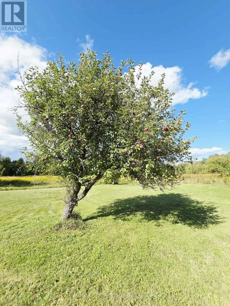 13984 COUNTY 29 ROAD