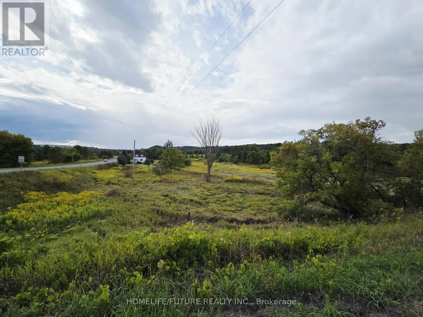 13984 COUNTY 29 ROAD