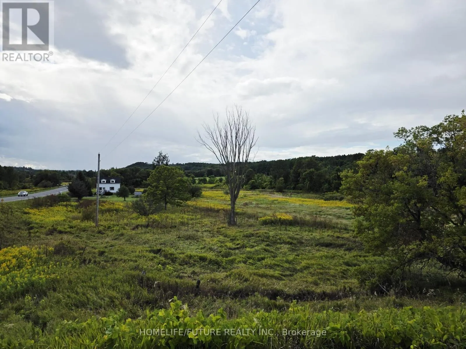 13984 COUNTY 29 ROAD
