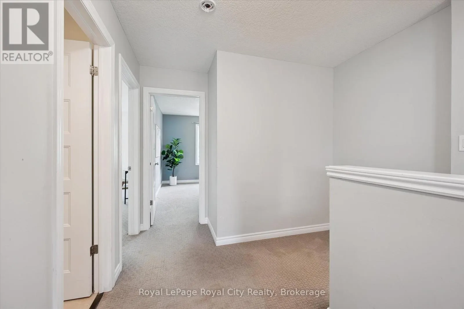 16 - 167 ARKELL ROAD, #16
