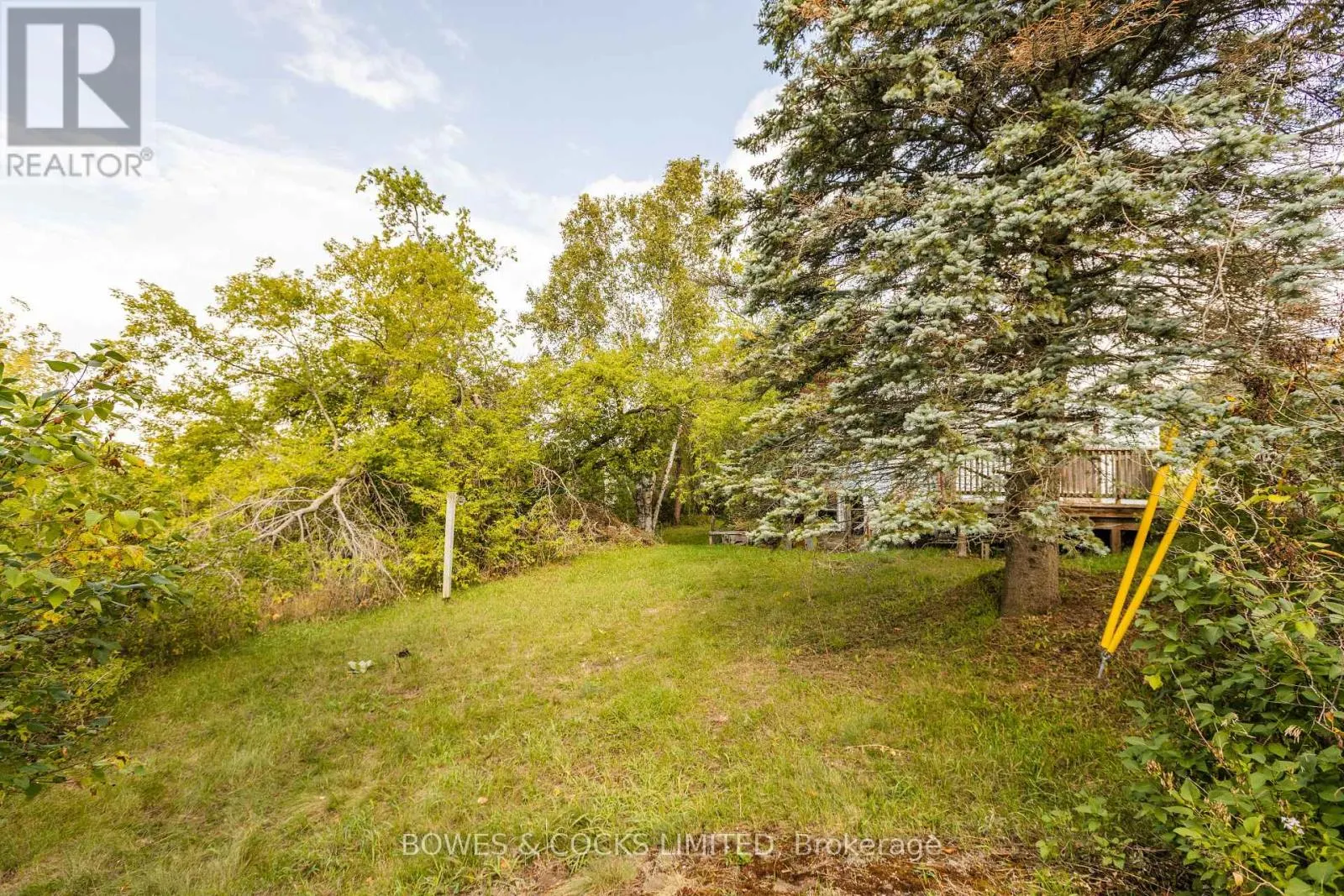 19 JAKEMAN STREET