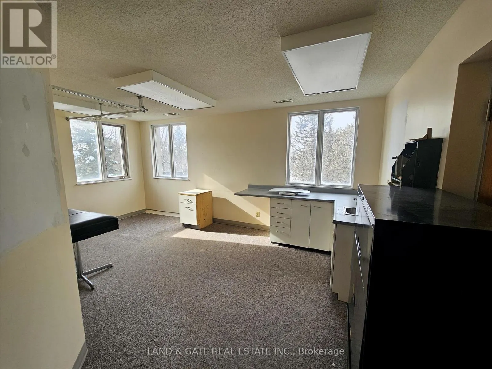 UPPER - 205 FRANCIS STREET E, #Upper