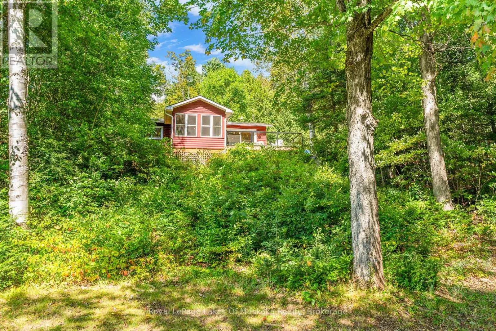 1341 BILLIE BEAR ROAD