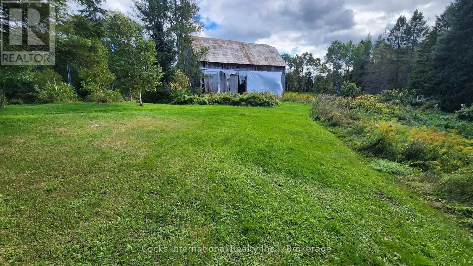 96 PICKEREL & JACK LAKE ROAD