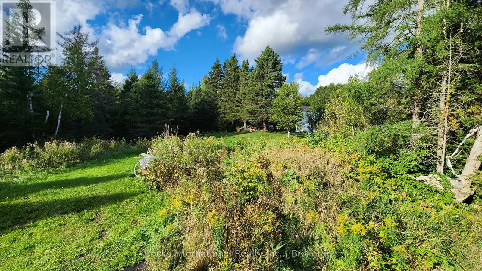 96 PICKEREL & JACK LAKE ROAD