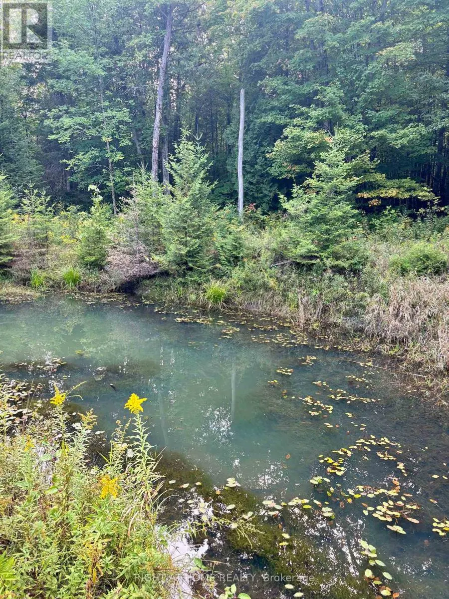 2360 COUNTY ROAD