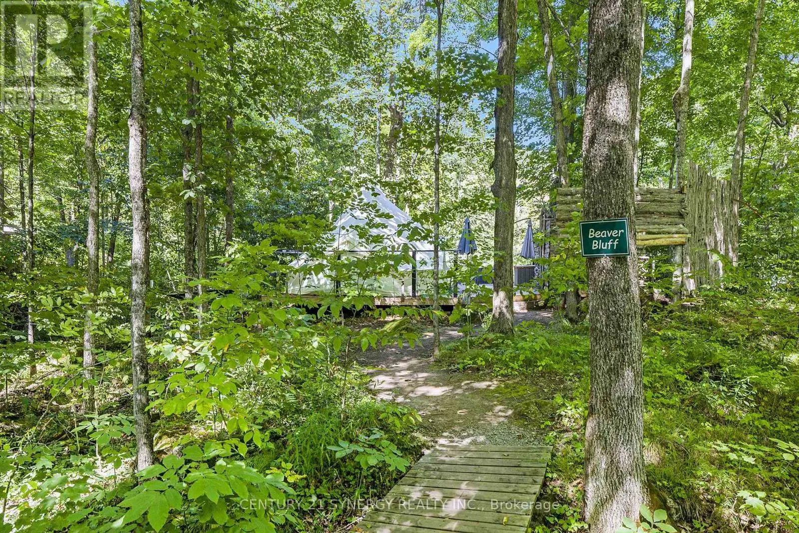56 KELLY ROAD