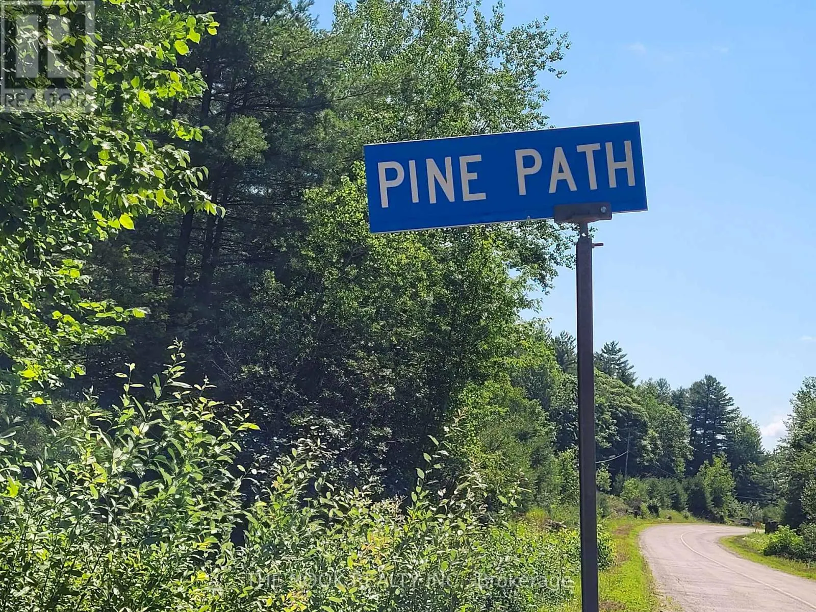 00 PINE PATH
