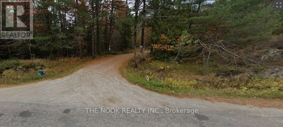 00 PINE PATH