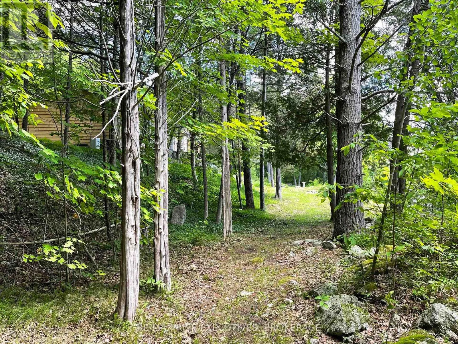 3376 COUNTY RD 3