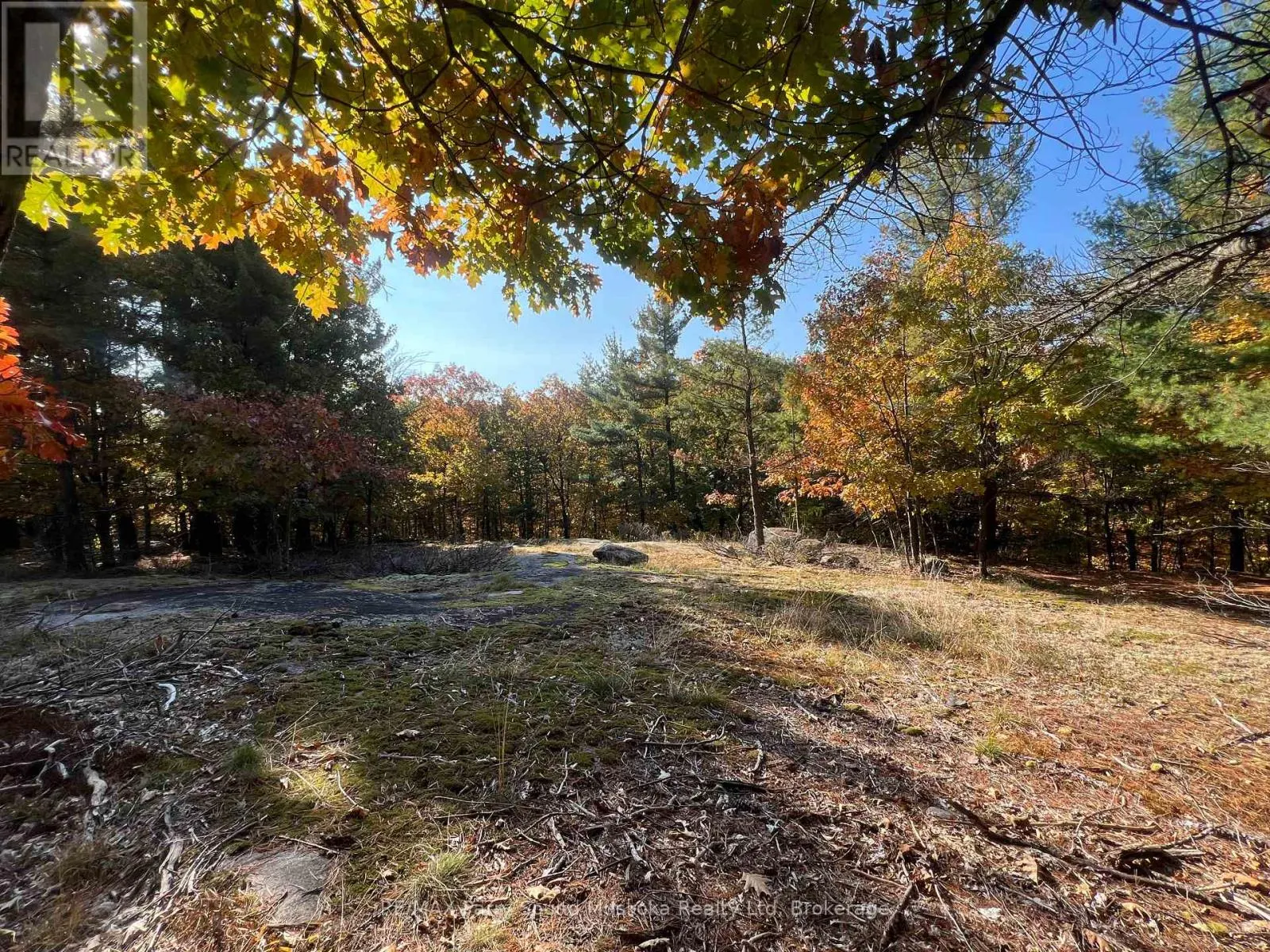 13 RIDGEWAY DRIVE
