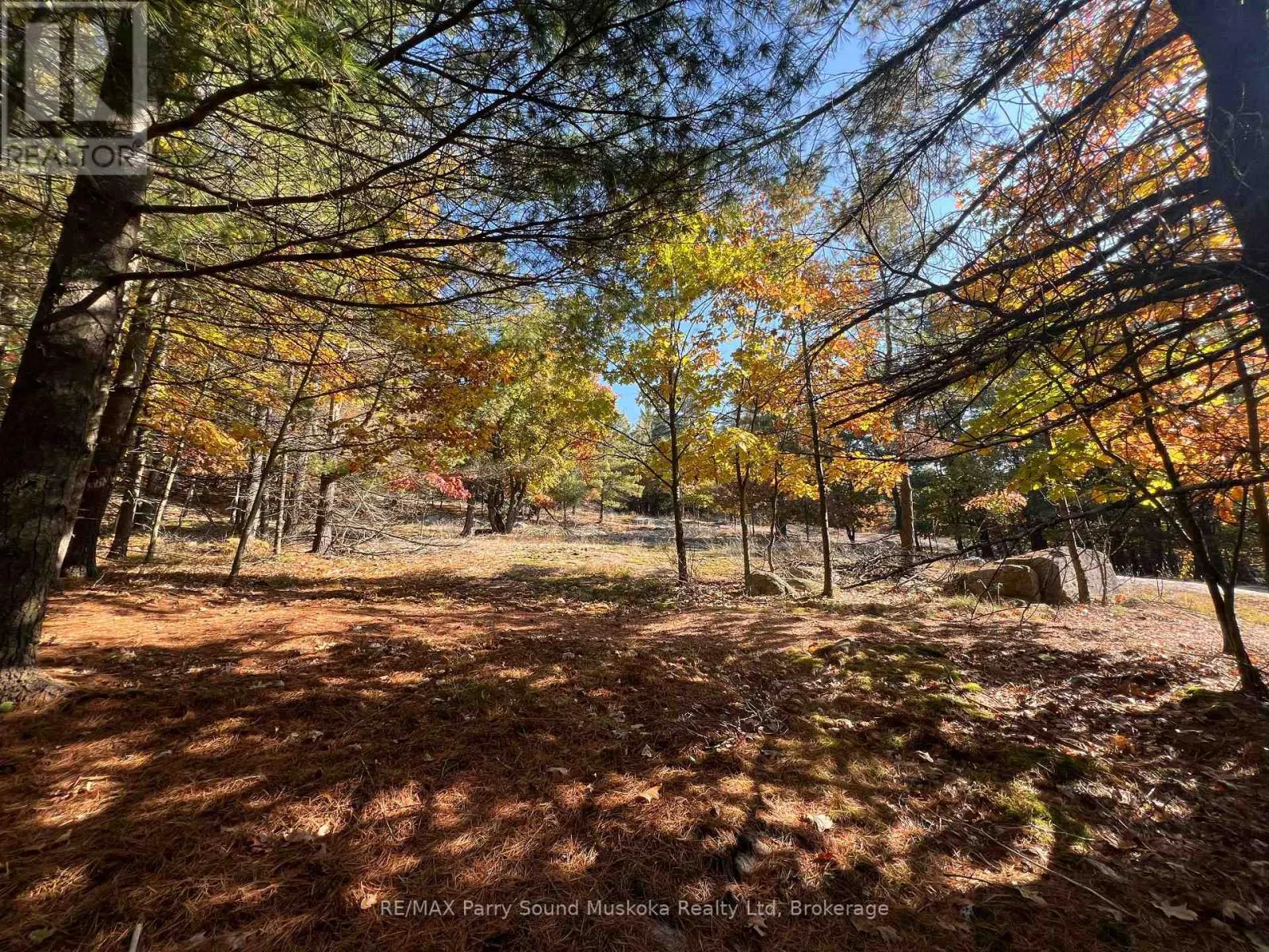 13 RIDGEWAY DRIVE