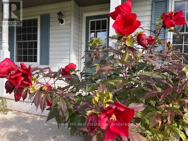 504097 GREY ROAD 12