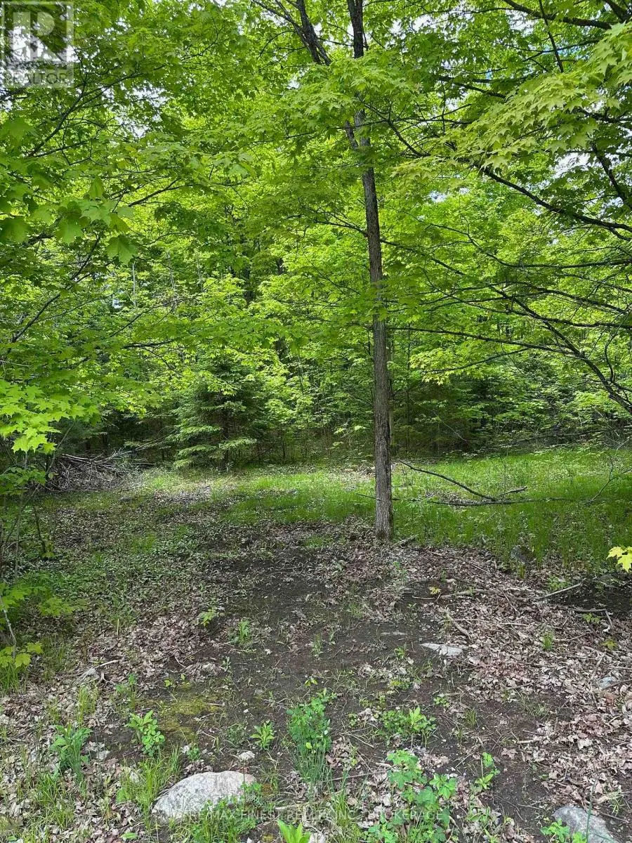 17146 ROAD 509