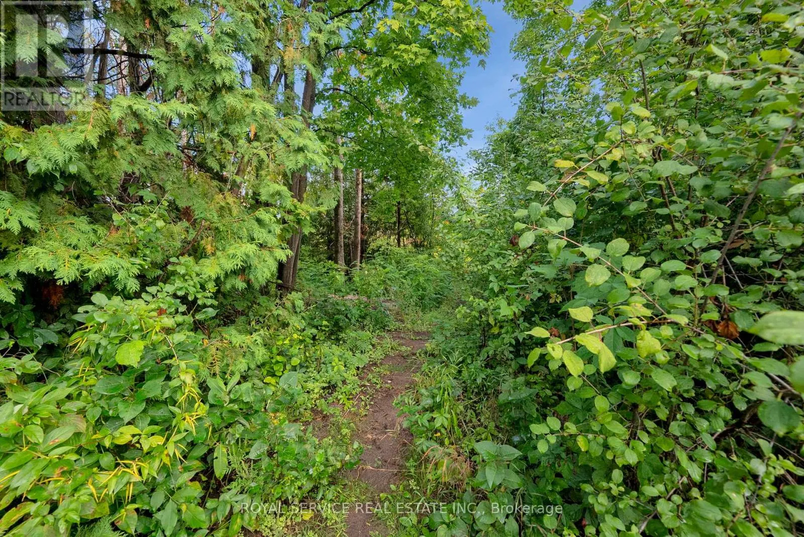 1204 PIGEON CREEK ROAD