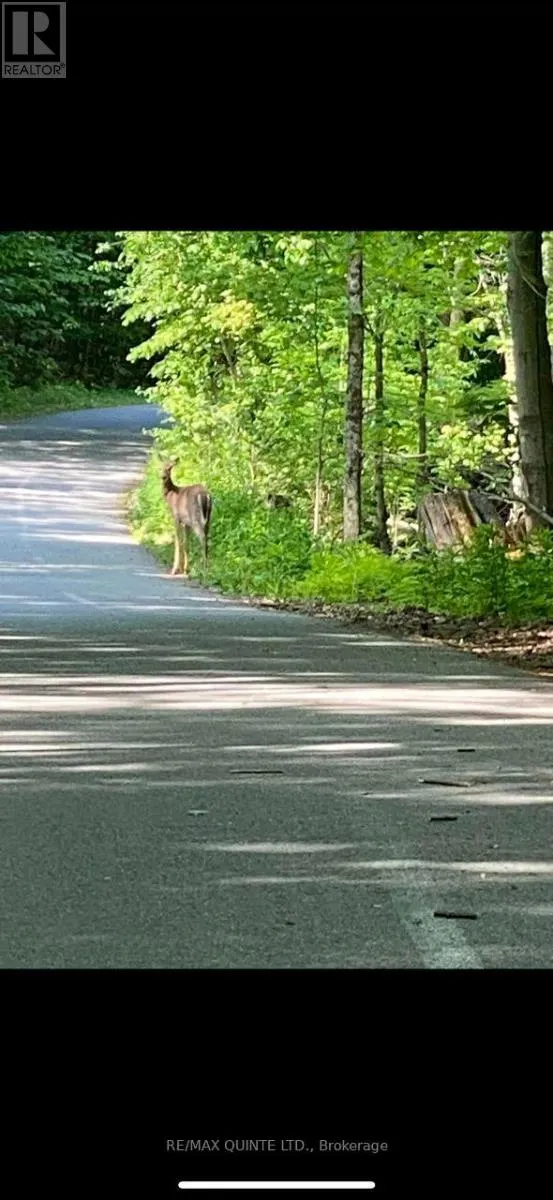 0000 BAYSHORE ROAD