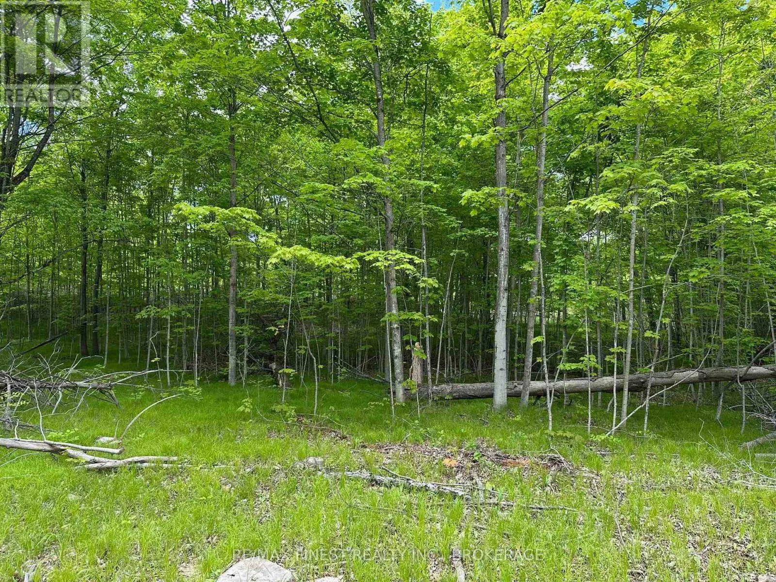 17158 ROAD 509
