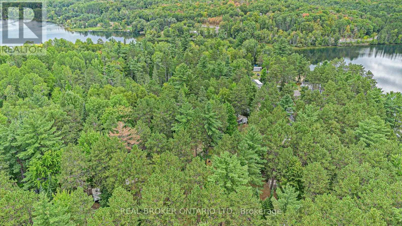 240 PINEWOOD PARK ROAD