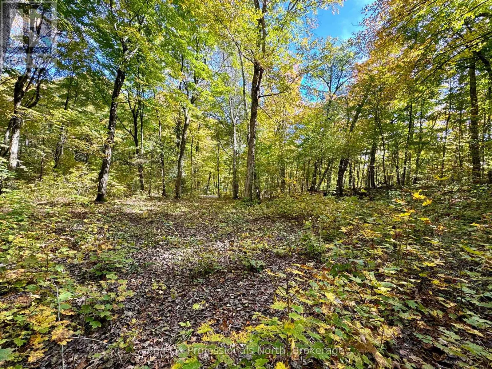 234 LONGS LAKE ROAD