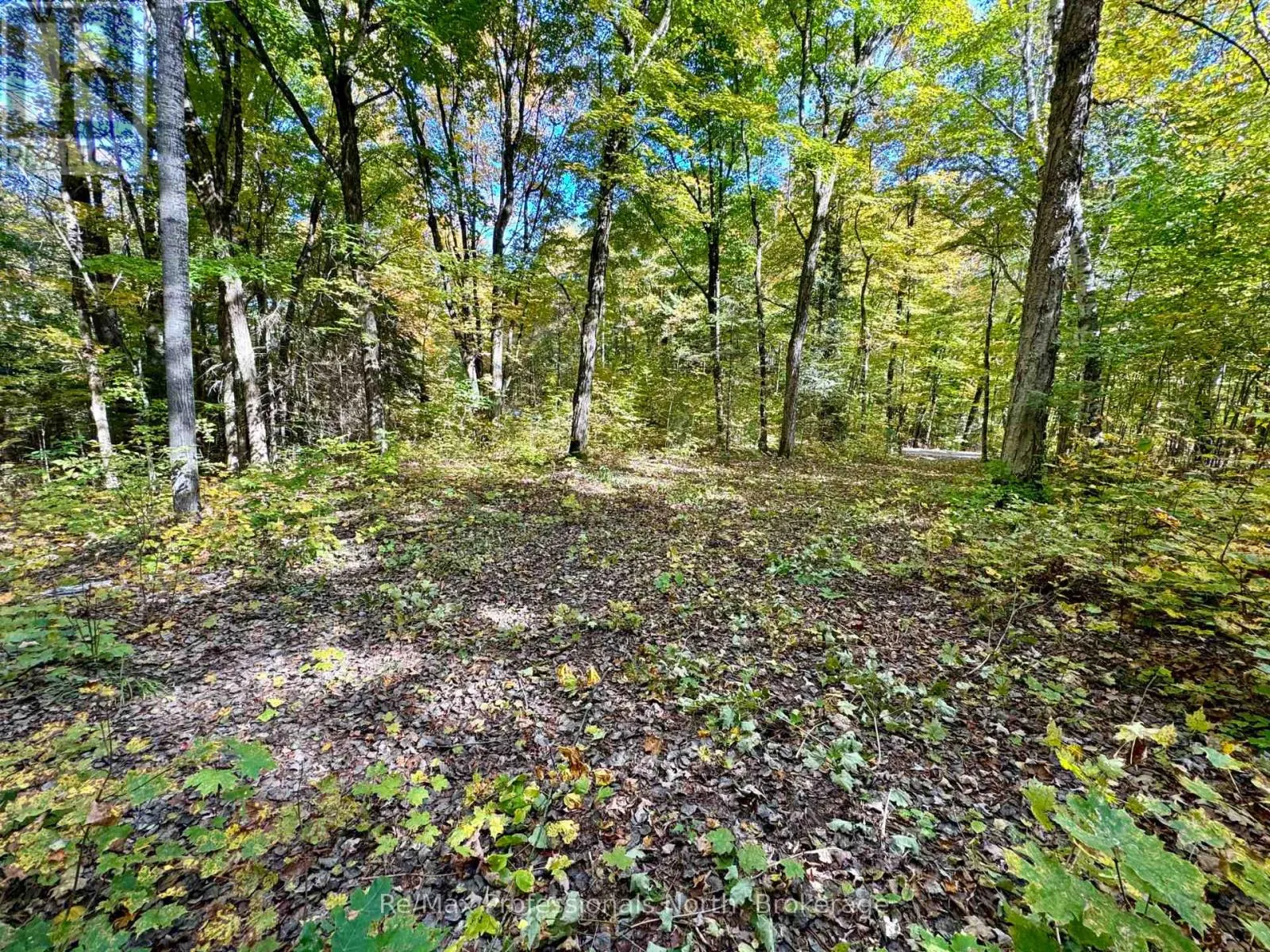 234 LONGS LAKE ROAD