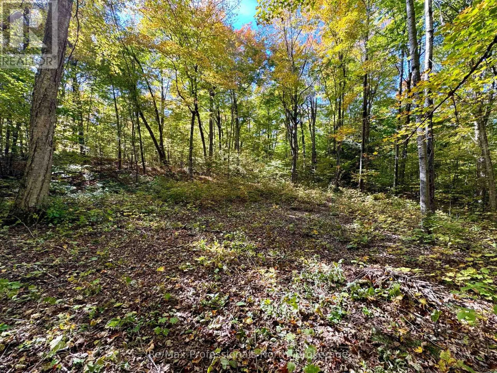 234 LONGS LAKE ROAD