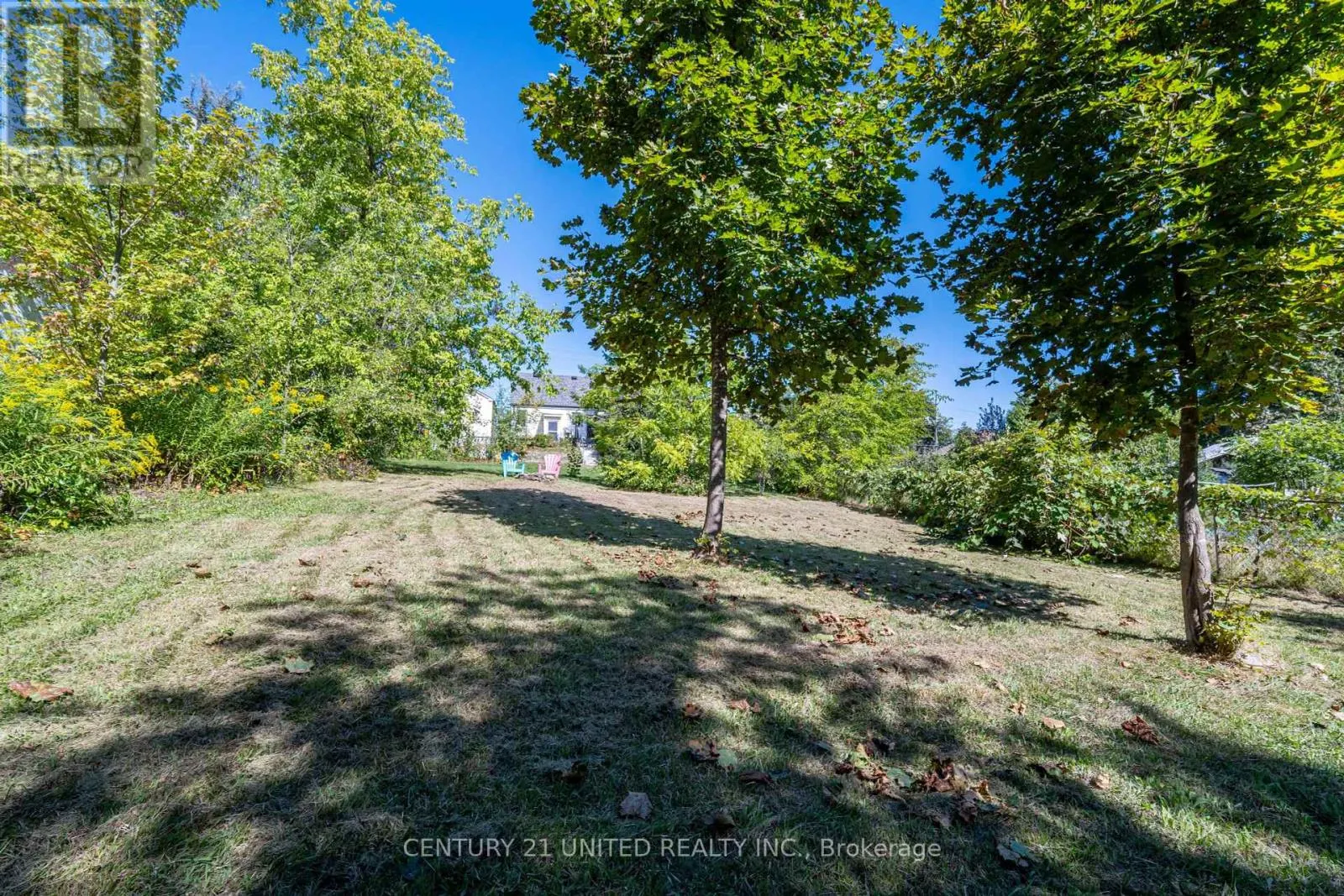 513 PARKHILL ROAD W