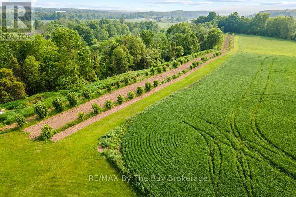 828482 MULMUR NOTTAWASAGA TOWNLINE