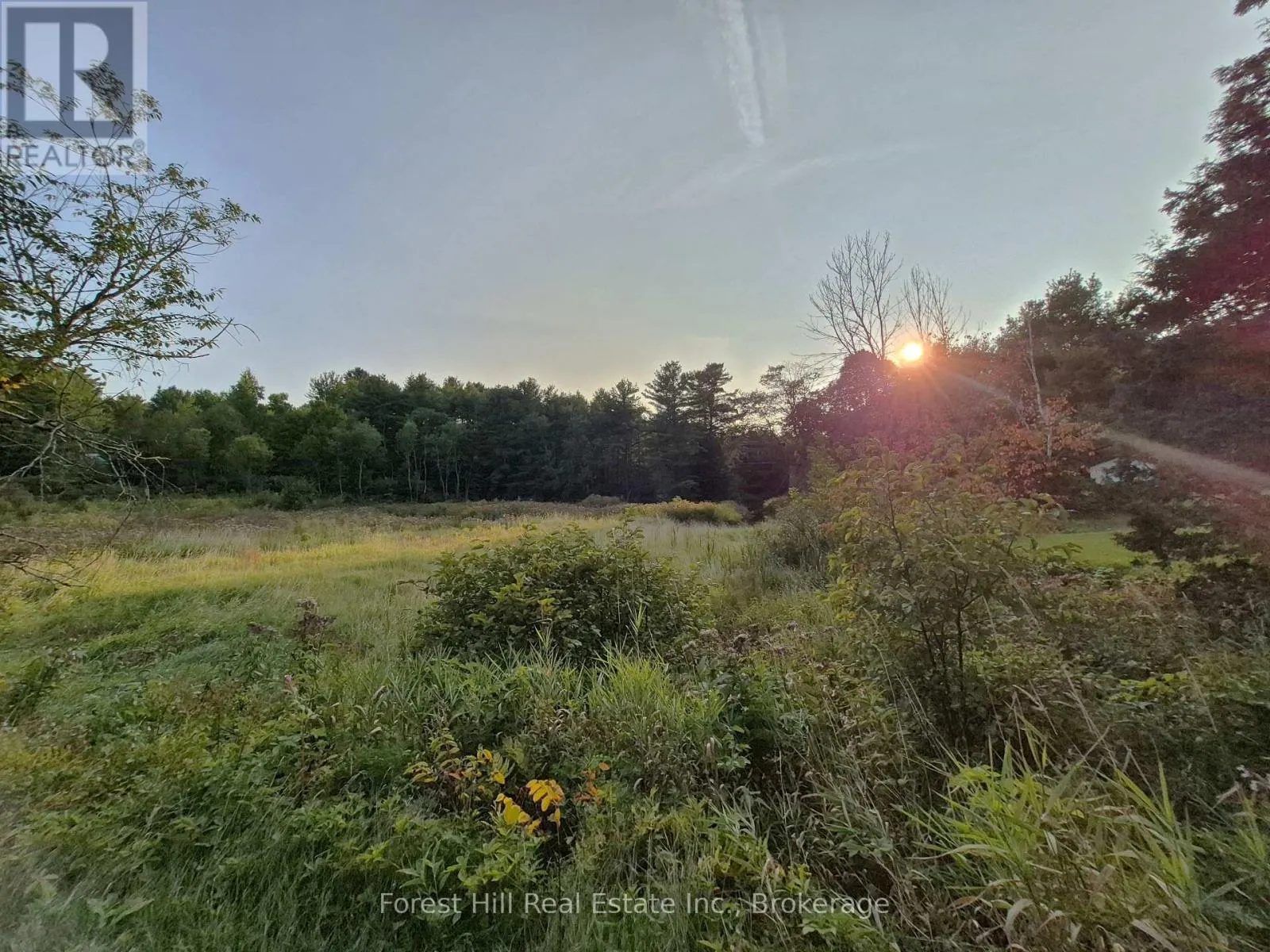 77 JAMES BAY JUNCTION ROAD S