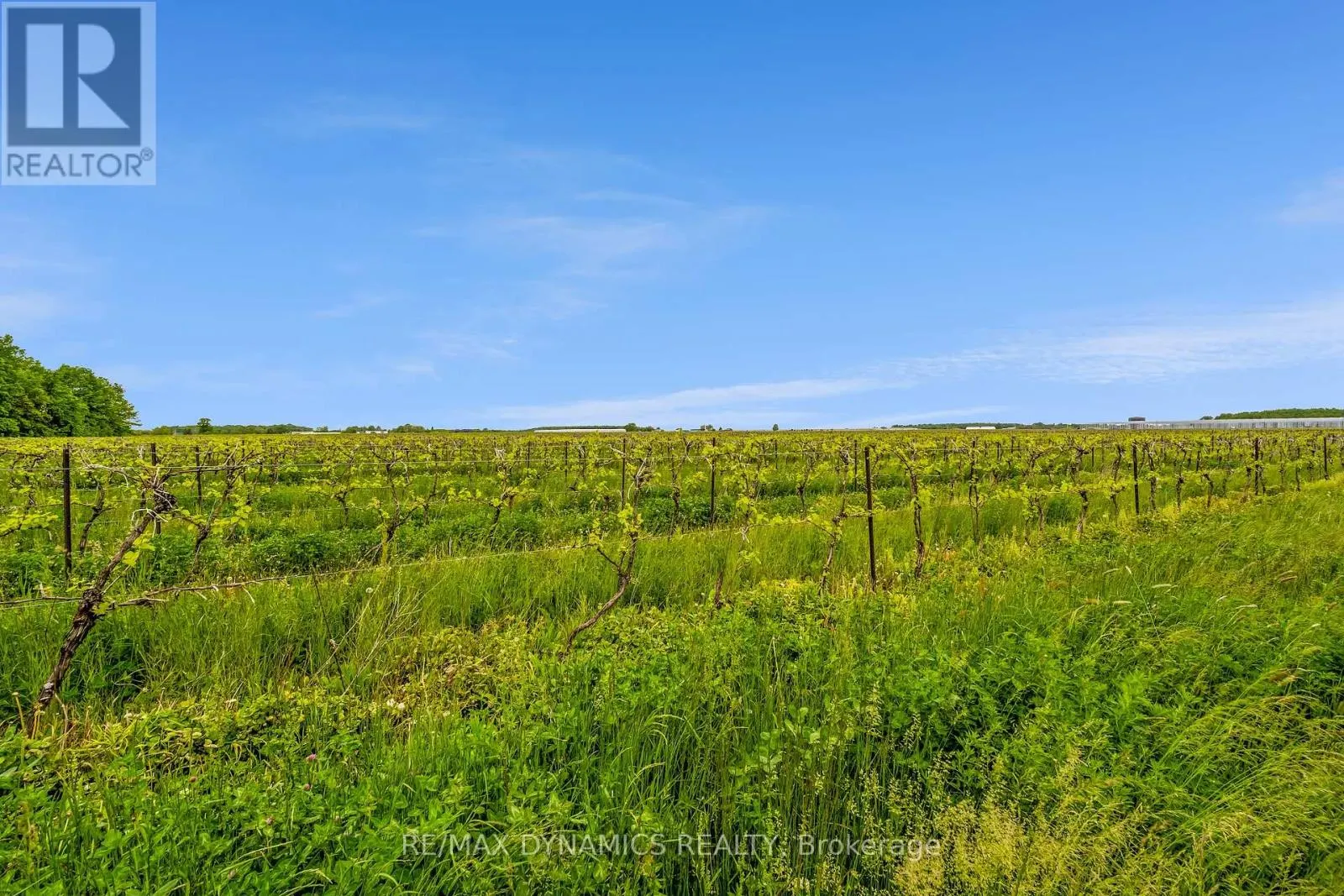 632 CONCESSION   ROAD