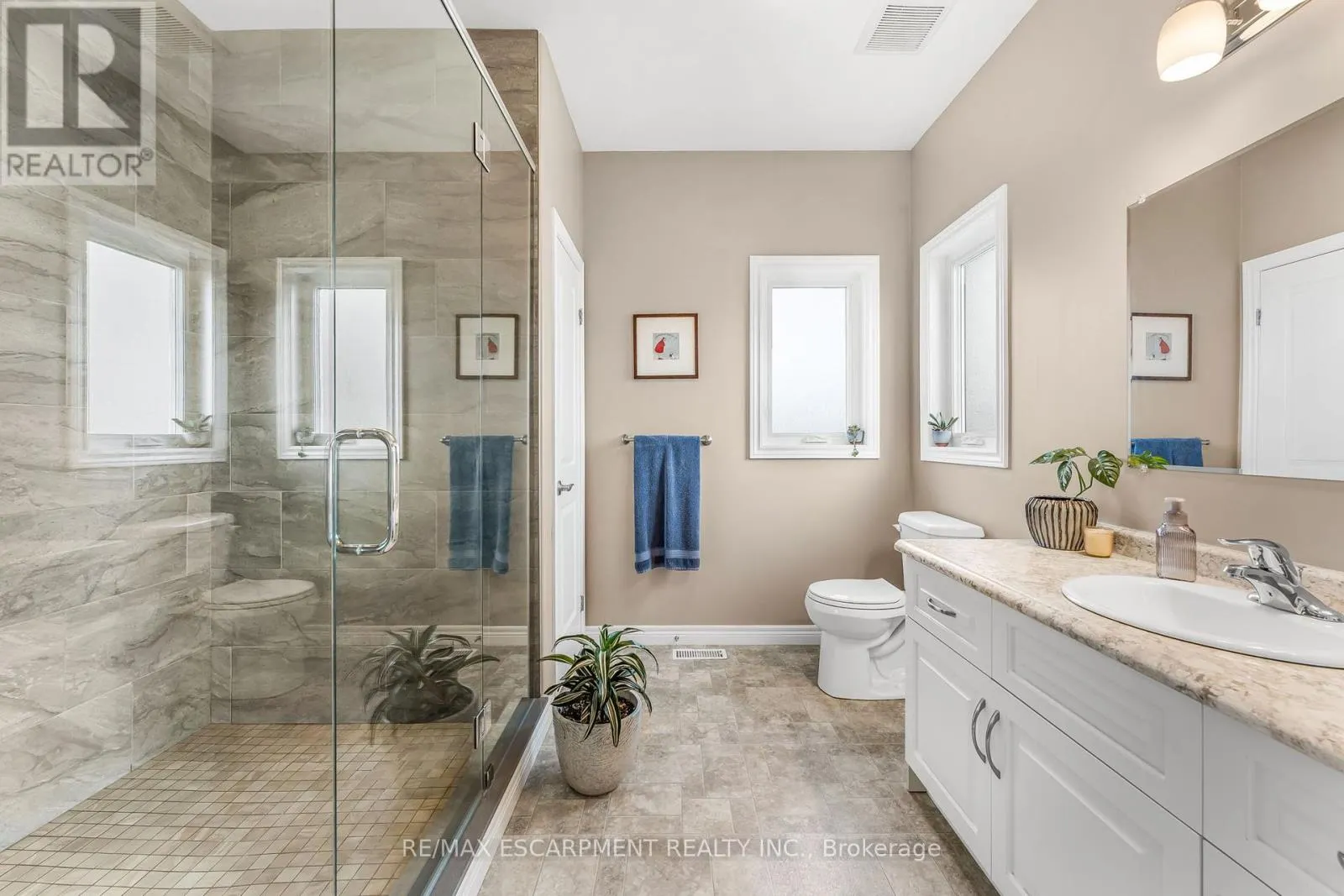 3 SILVERTHORNE COURT