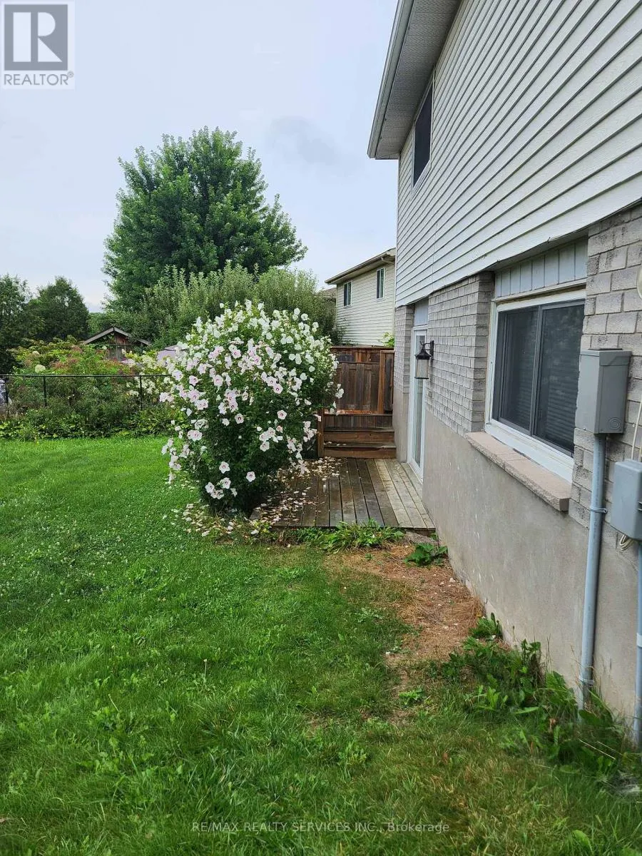 BASEMENT - 464 THORNDALE DRIVE