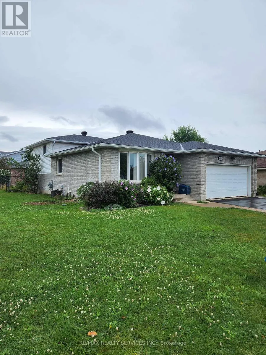 BASEMENT - 464 THORNDALE DRIVE