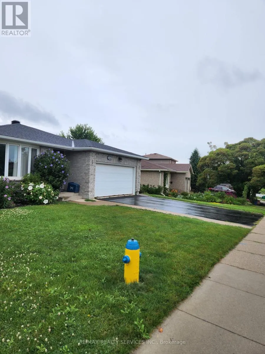 BASEMENT - 464 THORNDALE DRIVE