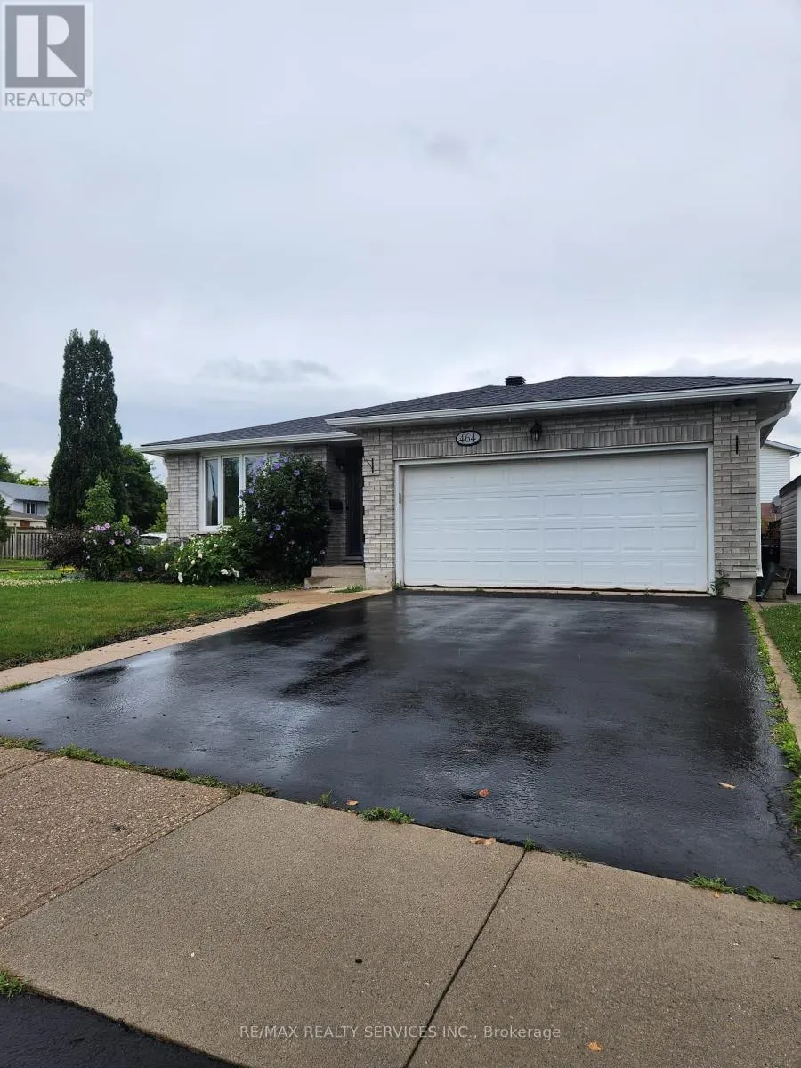 BASEMENT - 464 THORNDALE DRIVE