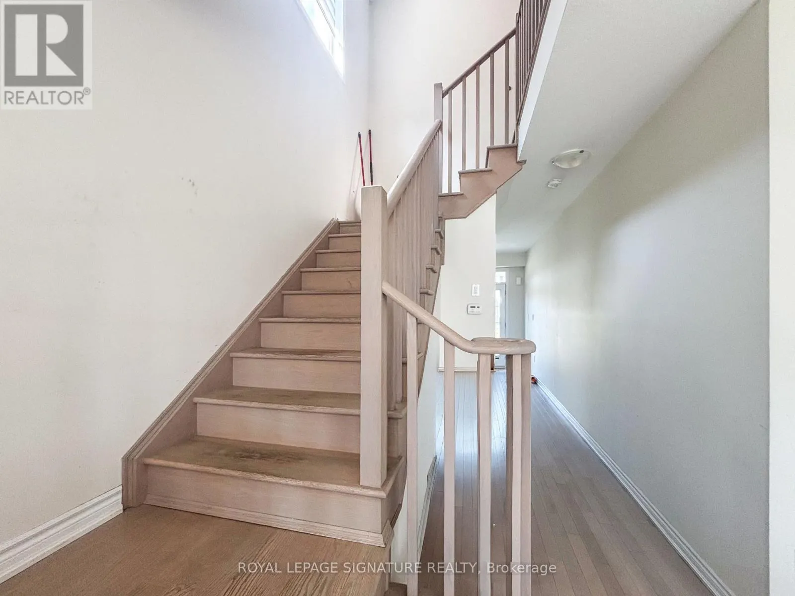 361 VANILLA TRAIL