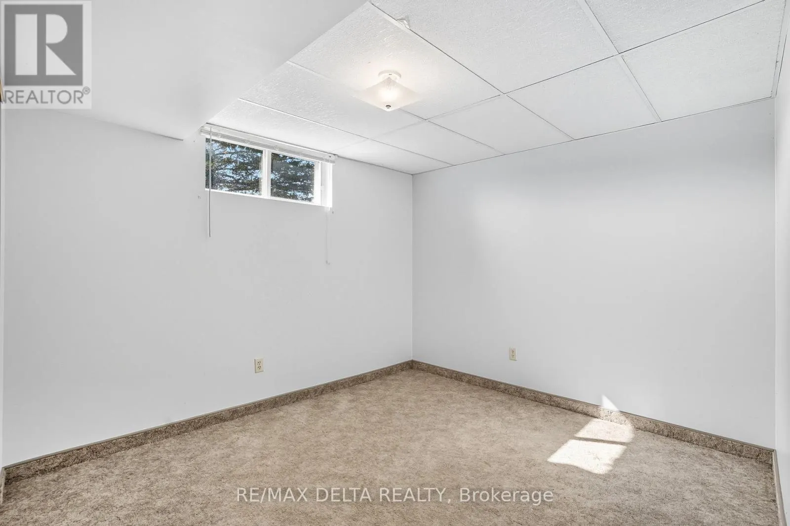 4254 CONC 20 CONCESSION