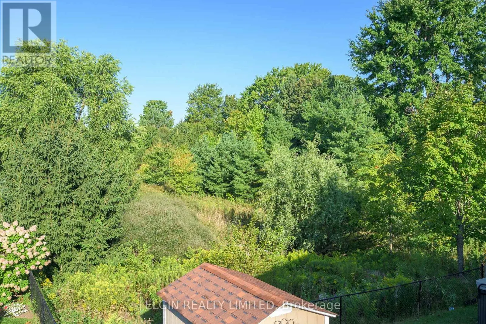 12 PEACH TREE BOULEVARD