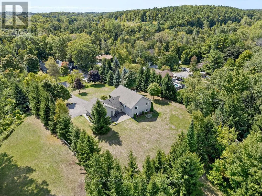 16868 TELEPHONE ROAD