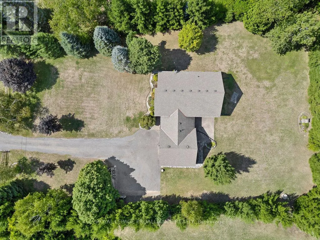 16868 TELEPHONE ROAD