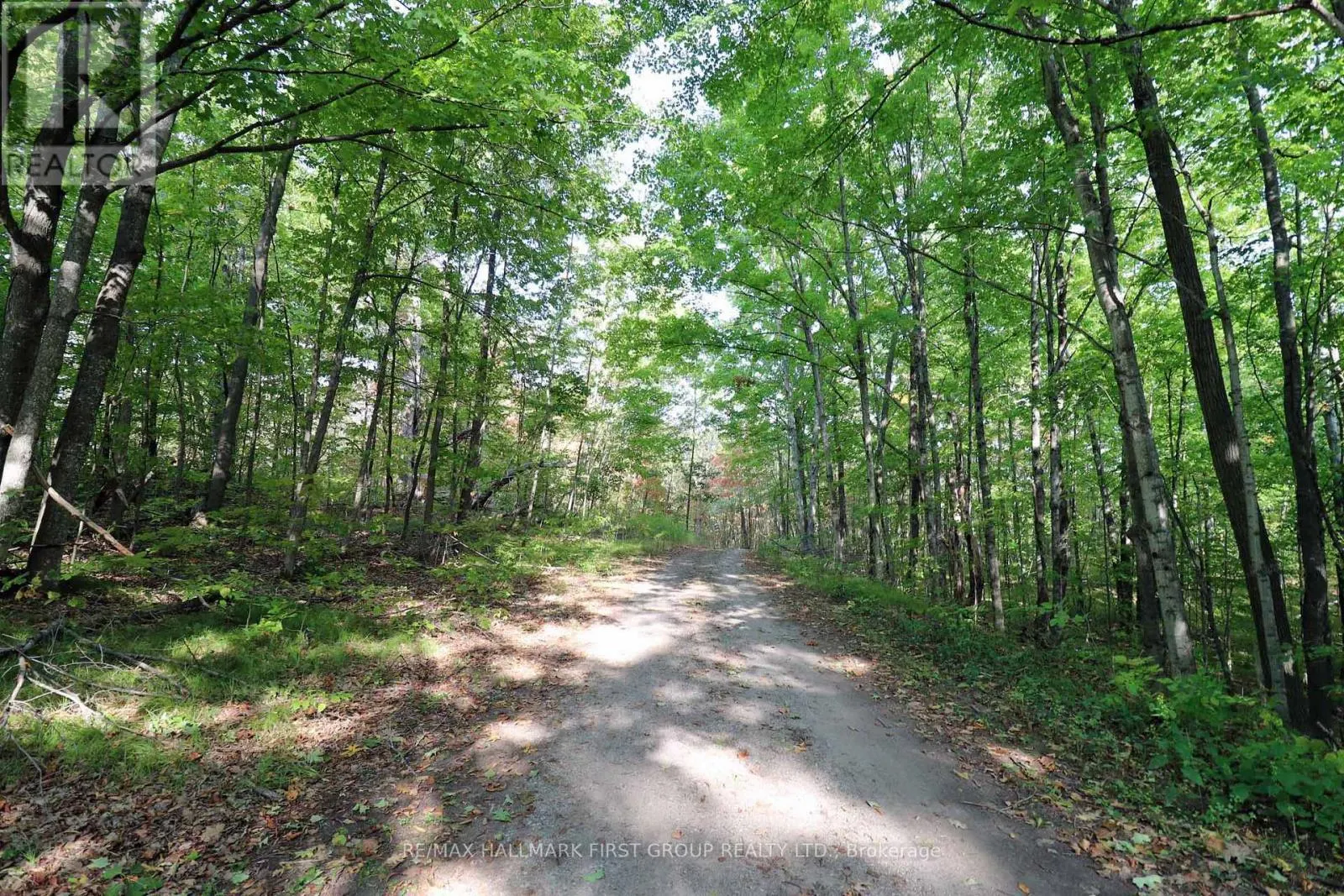 76 BLACK RIVER LANE