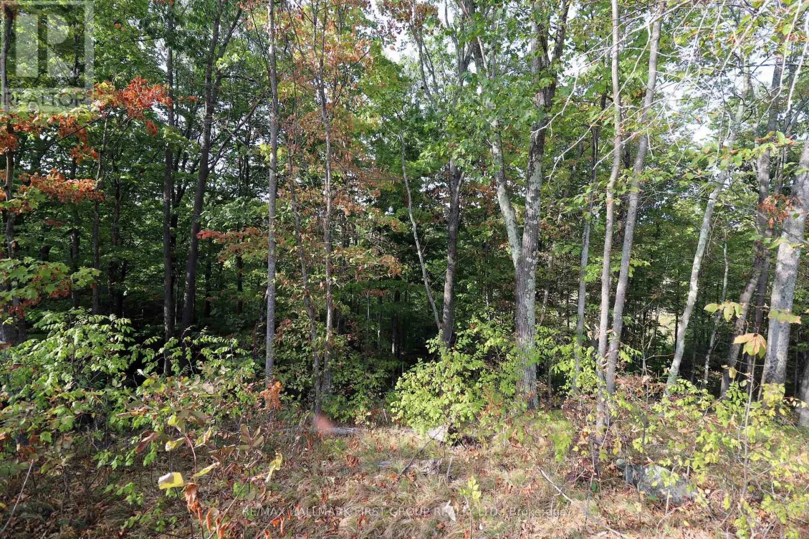 76 BLACK RIVER LANE