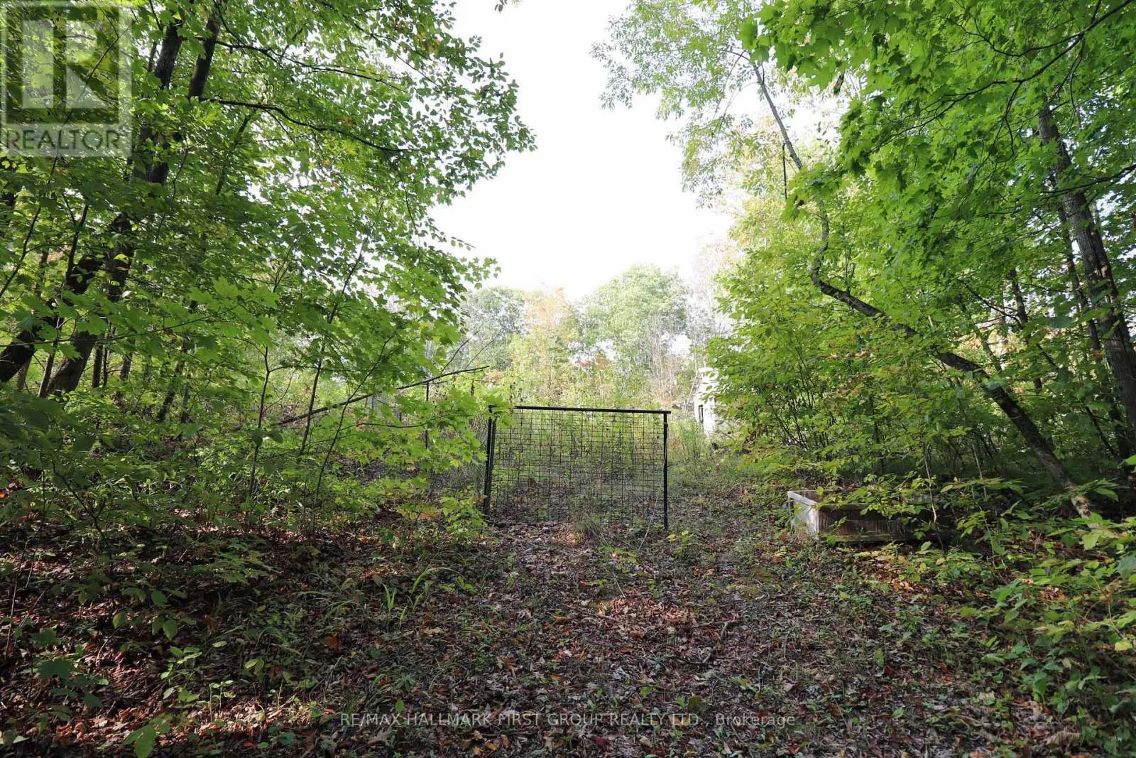 76 BLACK RIVER LANE