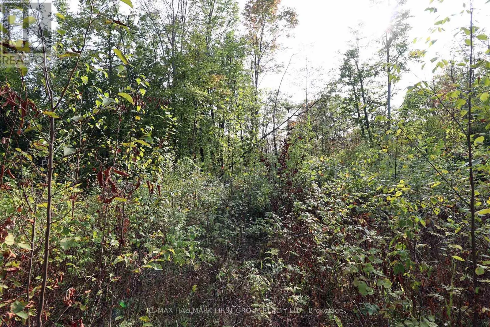 76 BLACK RIVER LANE
