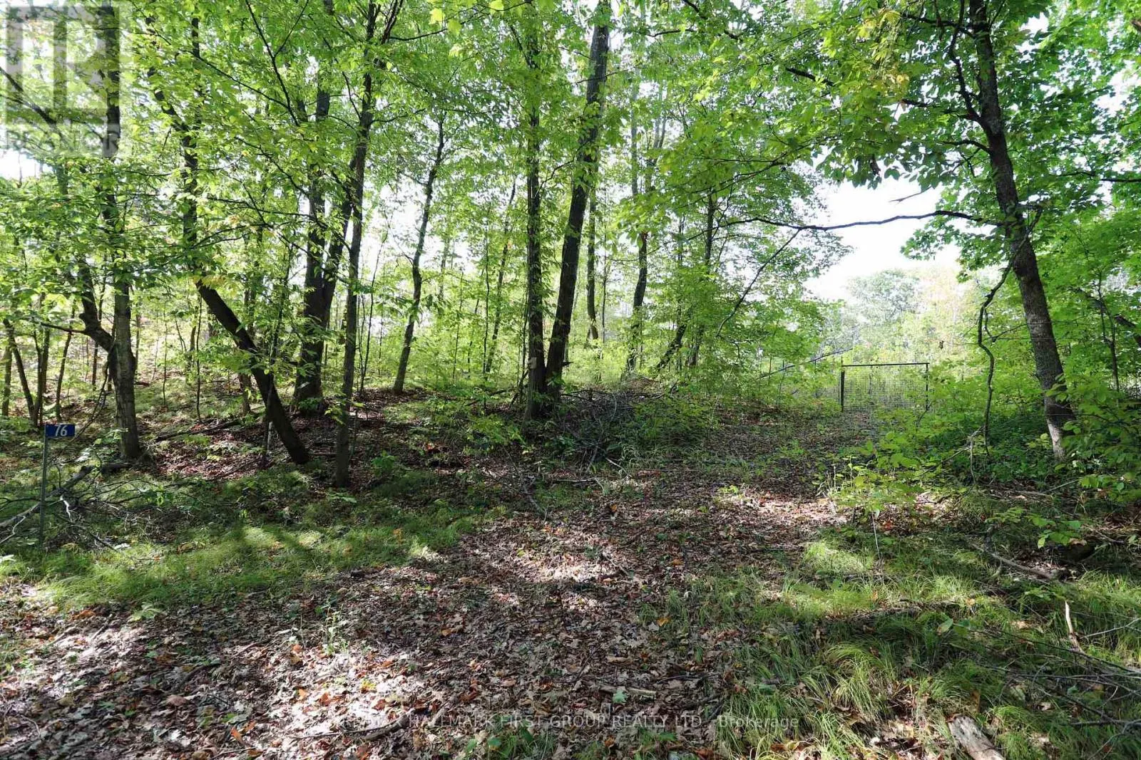 76 BLACK RIVER LANE