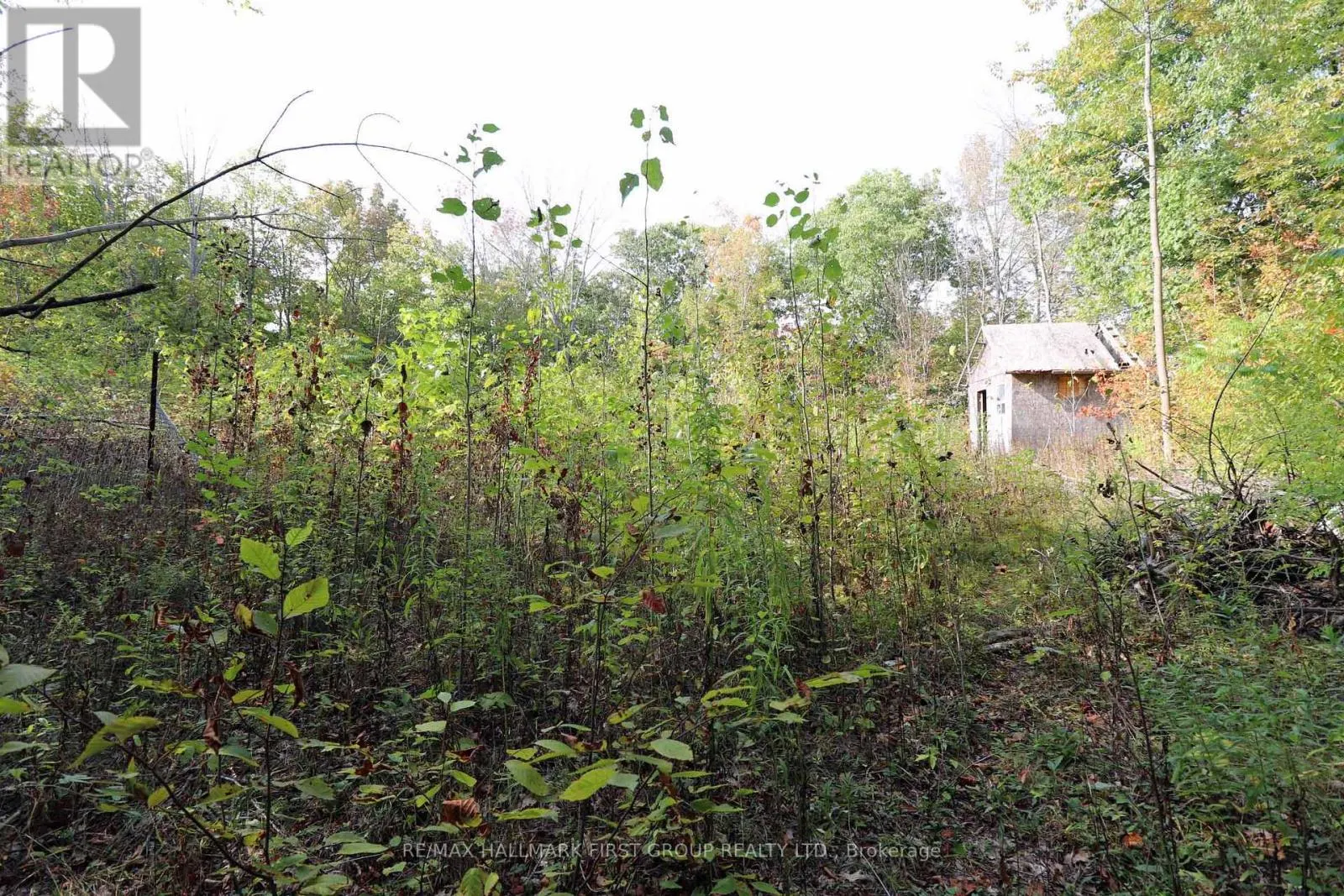 76 BLACK RIVER LANE