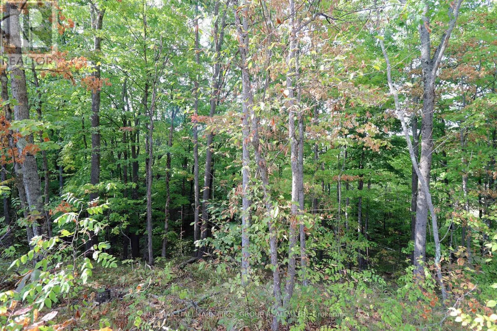 76 BLACK RIVER LANE