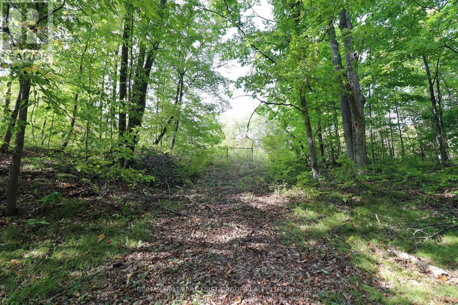 76 BLACK RIVER LANE